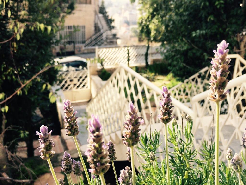 Lavender Boutique Hotel รามัลเลาะห์ ภายนอก รูปภาพ